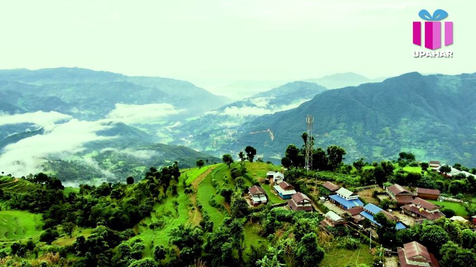 मनमाेहक दाेर्दी