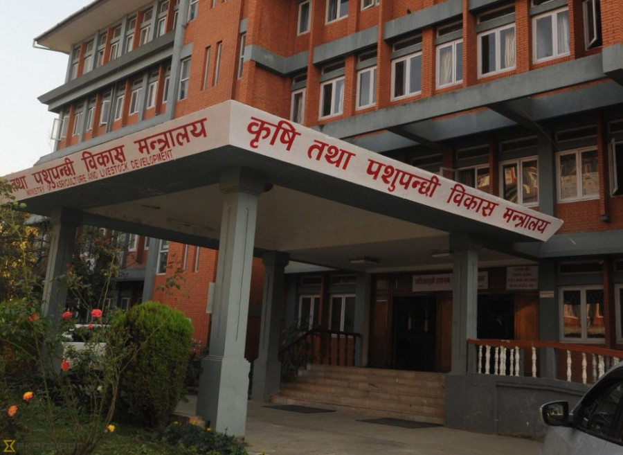 कृषिमा बजेटको तयारी ‘किसानलाई २५ प्रतिशत बचत हुनैपर्ने ग्यारेन्टी’ जस्ता लोकप्रिय कार्यक्रम समावेश हुँदै