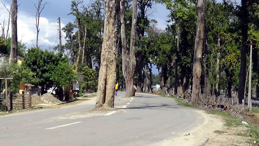 धनगढीमा रोयल जेभी र केएस जेभीले न्युनतम मापदण्डको धज्जी उडाए, सालको रुखमुनी कालोपत्रे