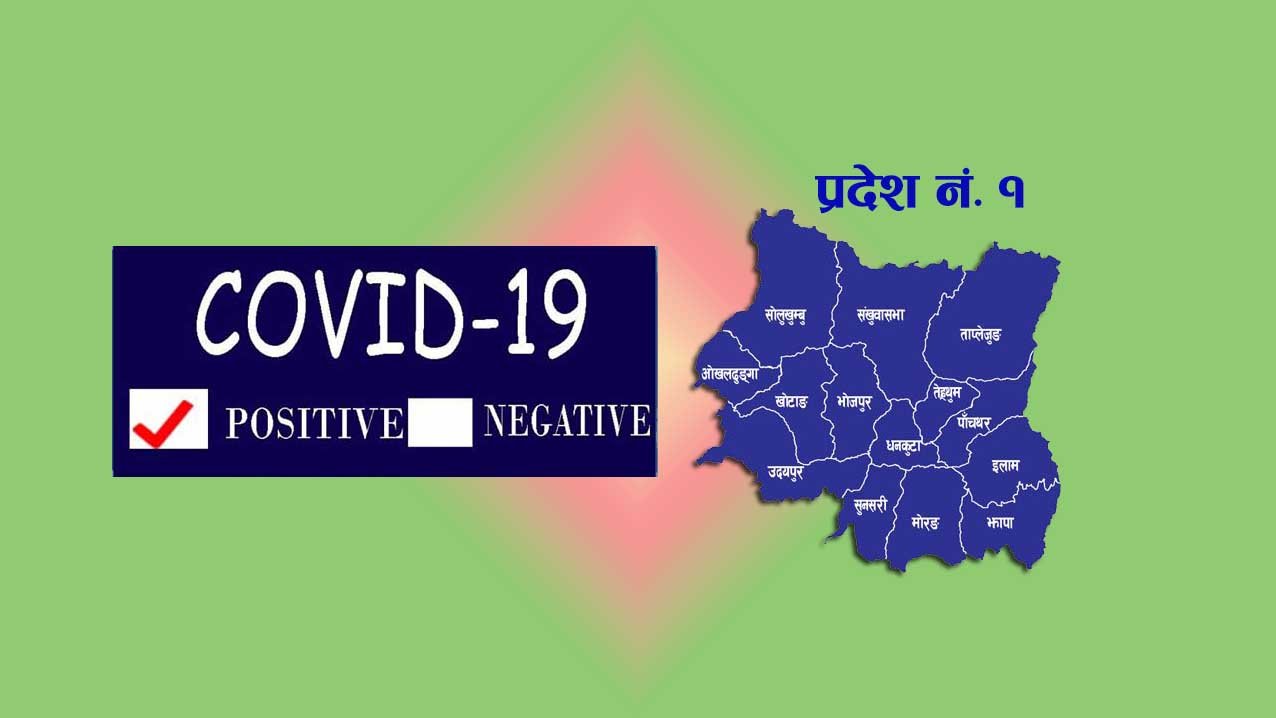 प्रदेश १ बाट शुक्रवार ७० जना सङ्क्रमित डिस्चार्ज, ७ जना थपिएसँगै सङ्क्रमितको संख्या ५ सय ३ पुग्याे