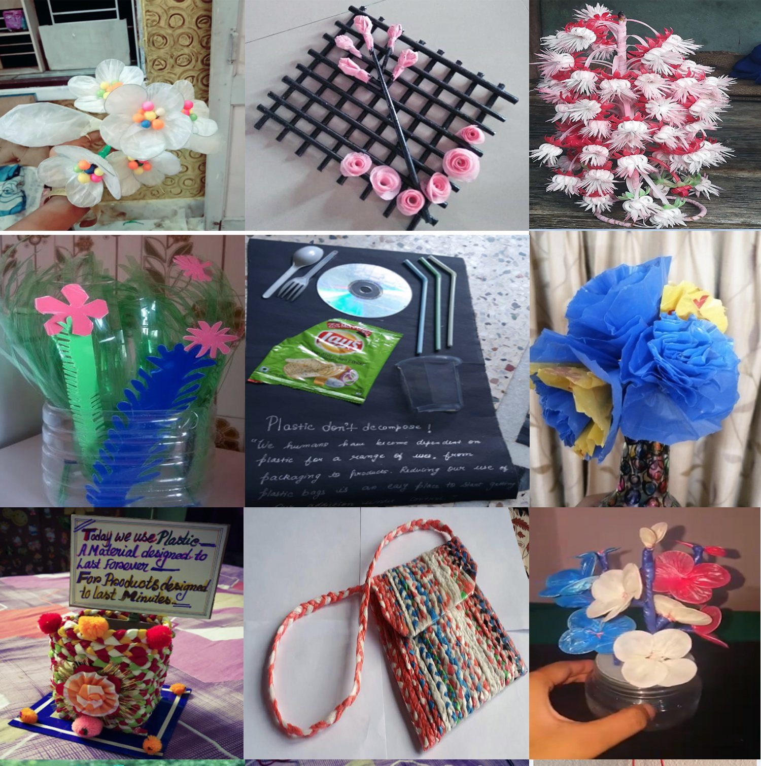 विश्व प्लष्टिक झोला मुक्त दिवस दुई फरक देशका रोट्रयाक्टर युवाले मनाए