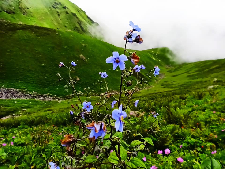 मनै लोभ्याउने बाजुराको बुढीनन्दाका तस्बिरहरु (फोटो फिचर)