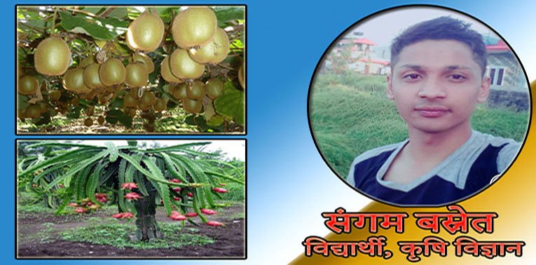 किवी र ड्रागनफ्रुटको परिचय, यसको अवस्था र अवसर