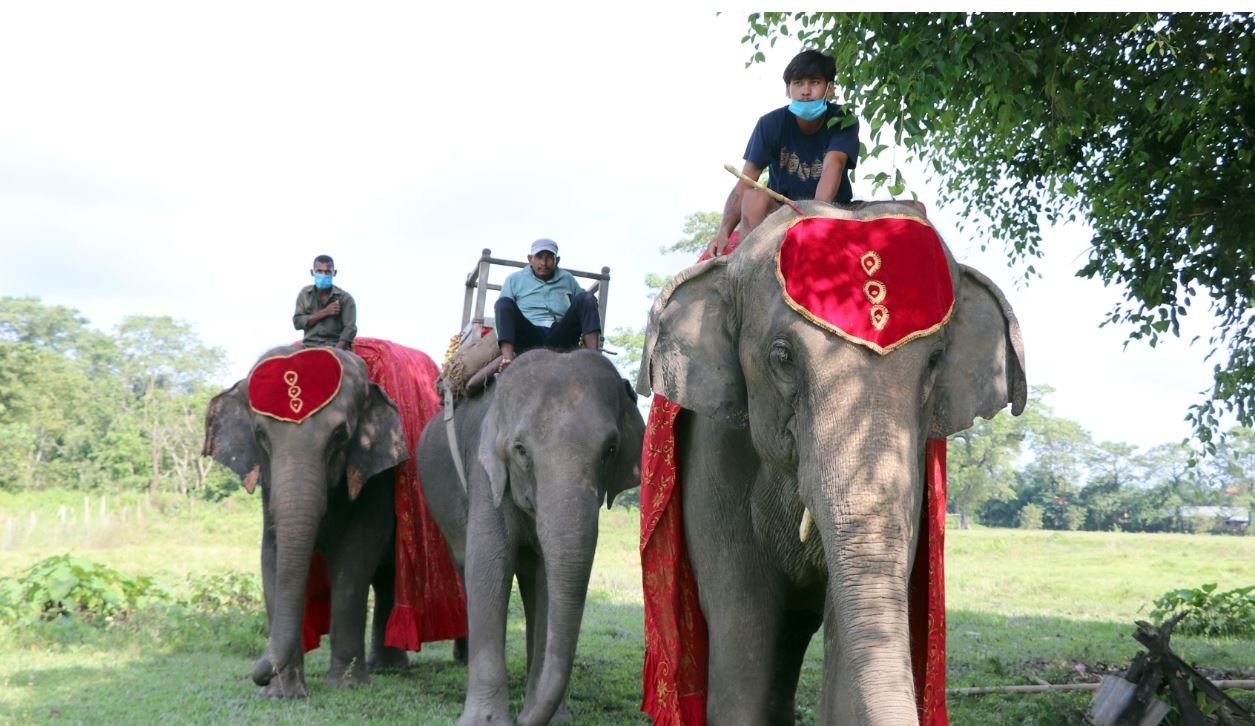 सौरहामा पर्यटकलाई ३० प्रतिशतसम्म छुट