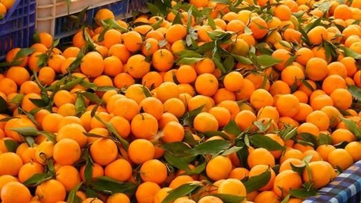 स्याङ्जा सुन्तला सुपरजोनको क्षेत्र विस्तार