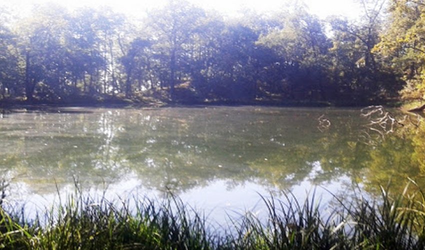 कञ्चनपुरको ऐतिहासिक सुनदेवी ताल ओझेलमा