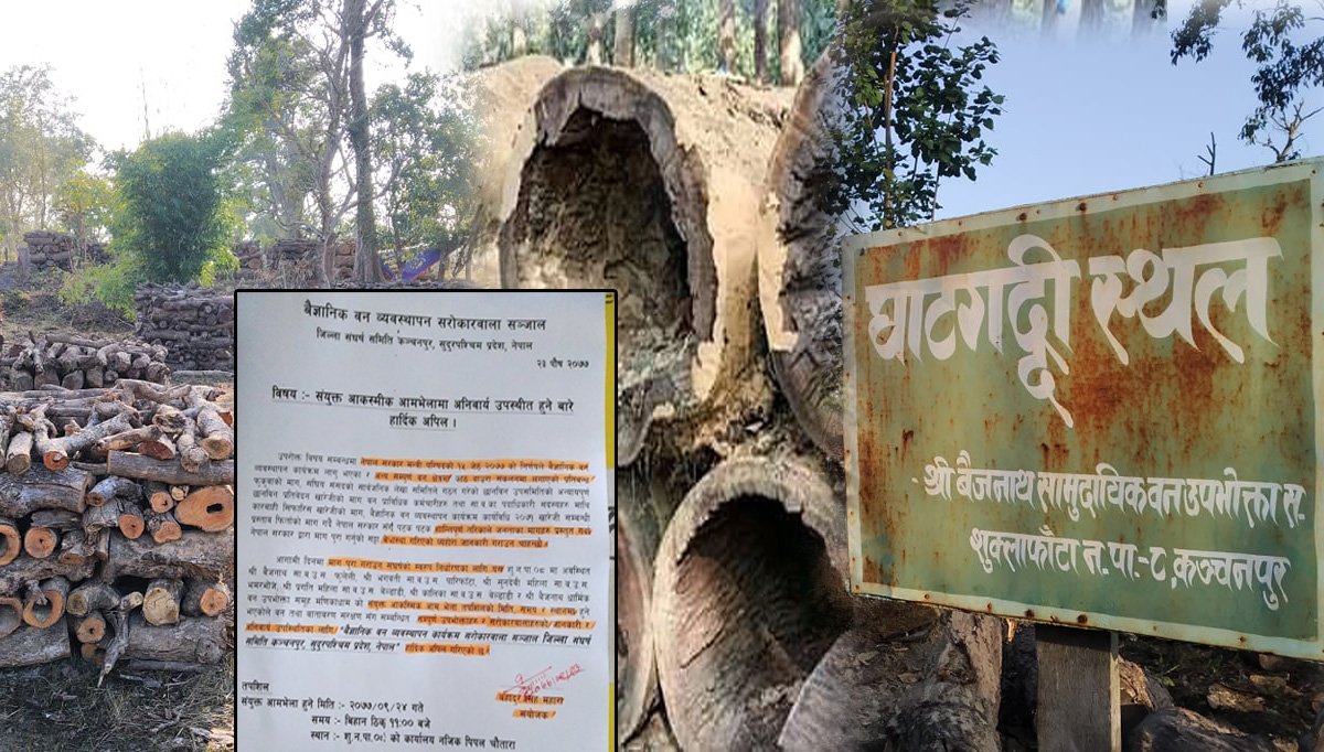 बैज्ञानिक वन व्यवस्थापन सरोकारवाला सञ्जालद्वारा संयुक्त आकस्मिक आमभेलाको अपिल