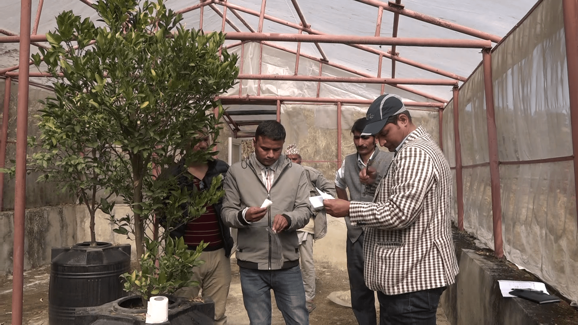 सुन्तला उत्पादनमा ह्रास आएपछि विज्ञ टोली पकेट क्षेत्रमा