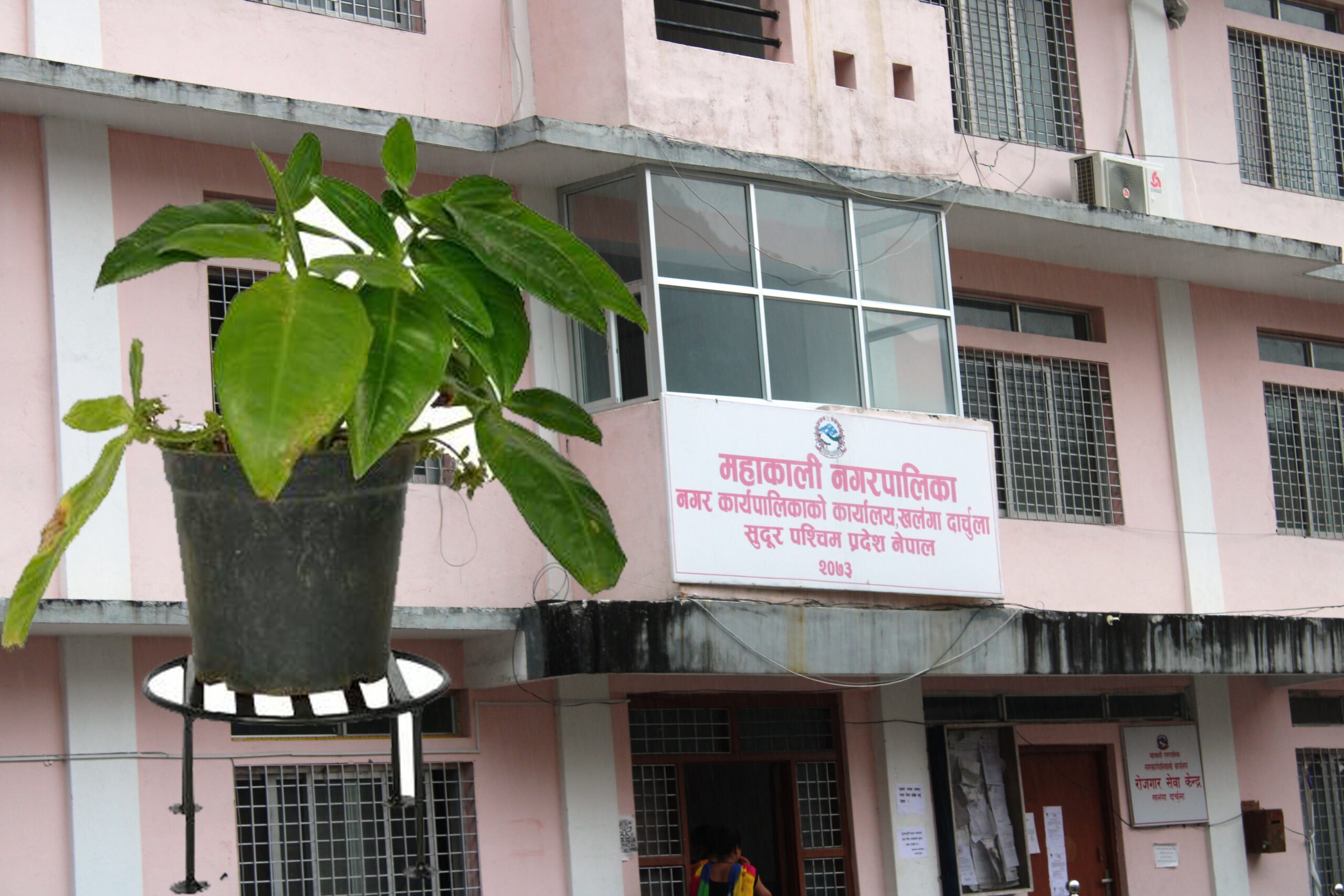 दार्चुलाको महाकालीमा कमिसनको खेल, किन रोकियो खलंगा बजारमा गमला राख्ने कार्यक्रम ?