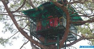 रुखमाथि बनेको घरमा आउजाउमा प्रतिबन्ध