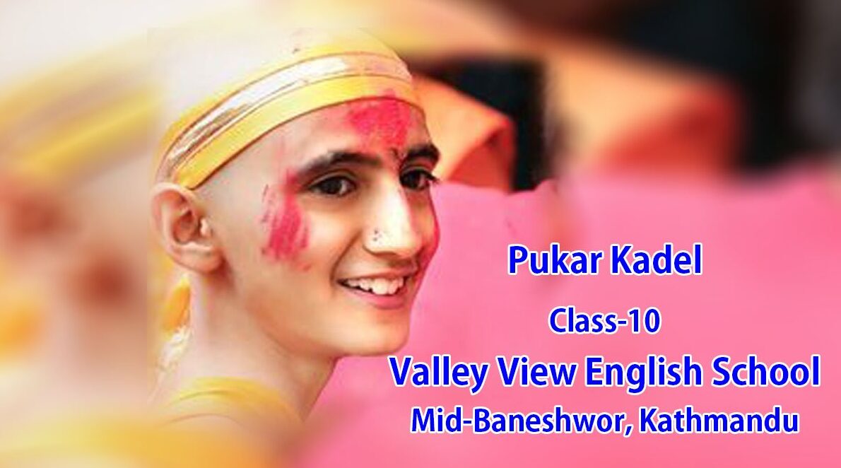 Significance of Online Class