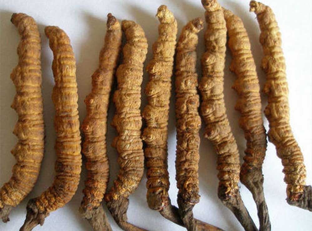 यार्सा पाटनमा मृत्यु र पीडितका परिवारलाई राहत सहयोग