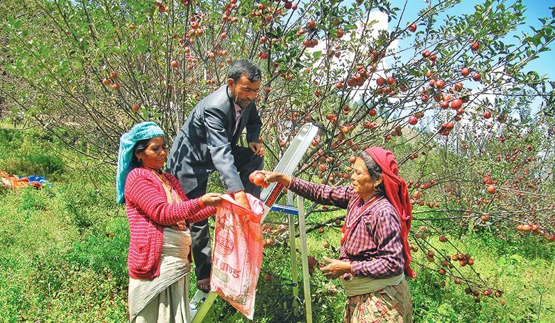 फलफूल भण्डार बन्दै कर्णाली