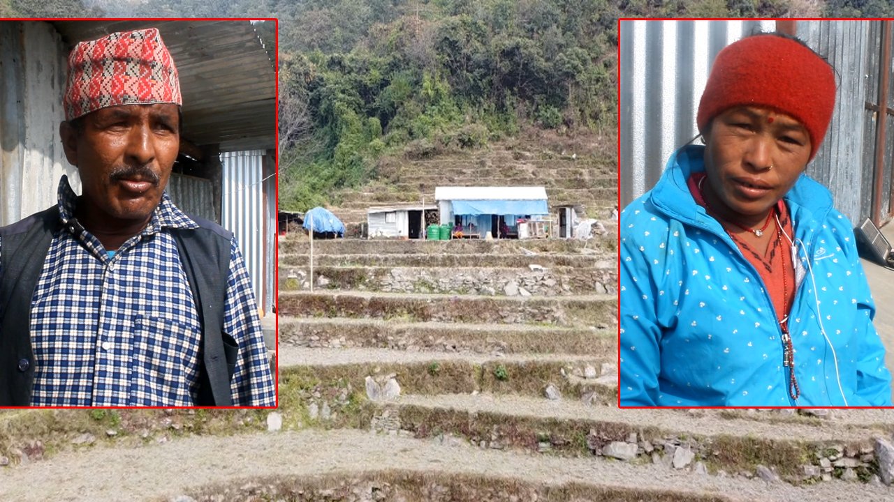 हेलम्बुमा बाढीपीडितकालागि अस्थायी टहरा निर्माण भएपछि बाढी पीडितको प्रतिक्रिया के छ ? (भिडियो रिर्पोट)