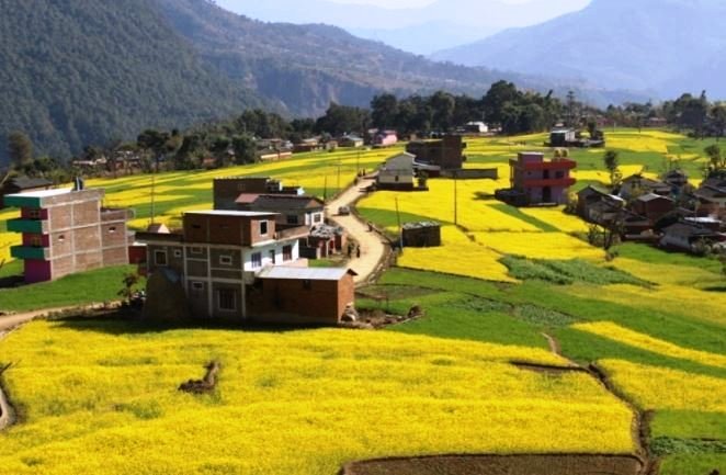 रत्नेचौरका तोरीबारीमा टिकटक बनाउनेको भीड