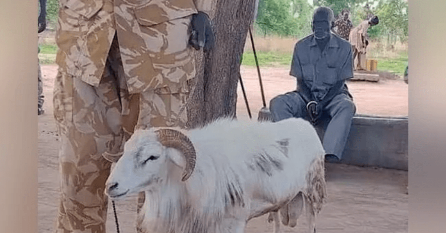 महिलालाई मारेको अभियोगमा भेडालाई ३ वर्ष जेल !