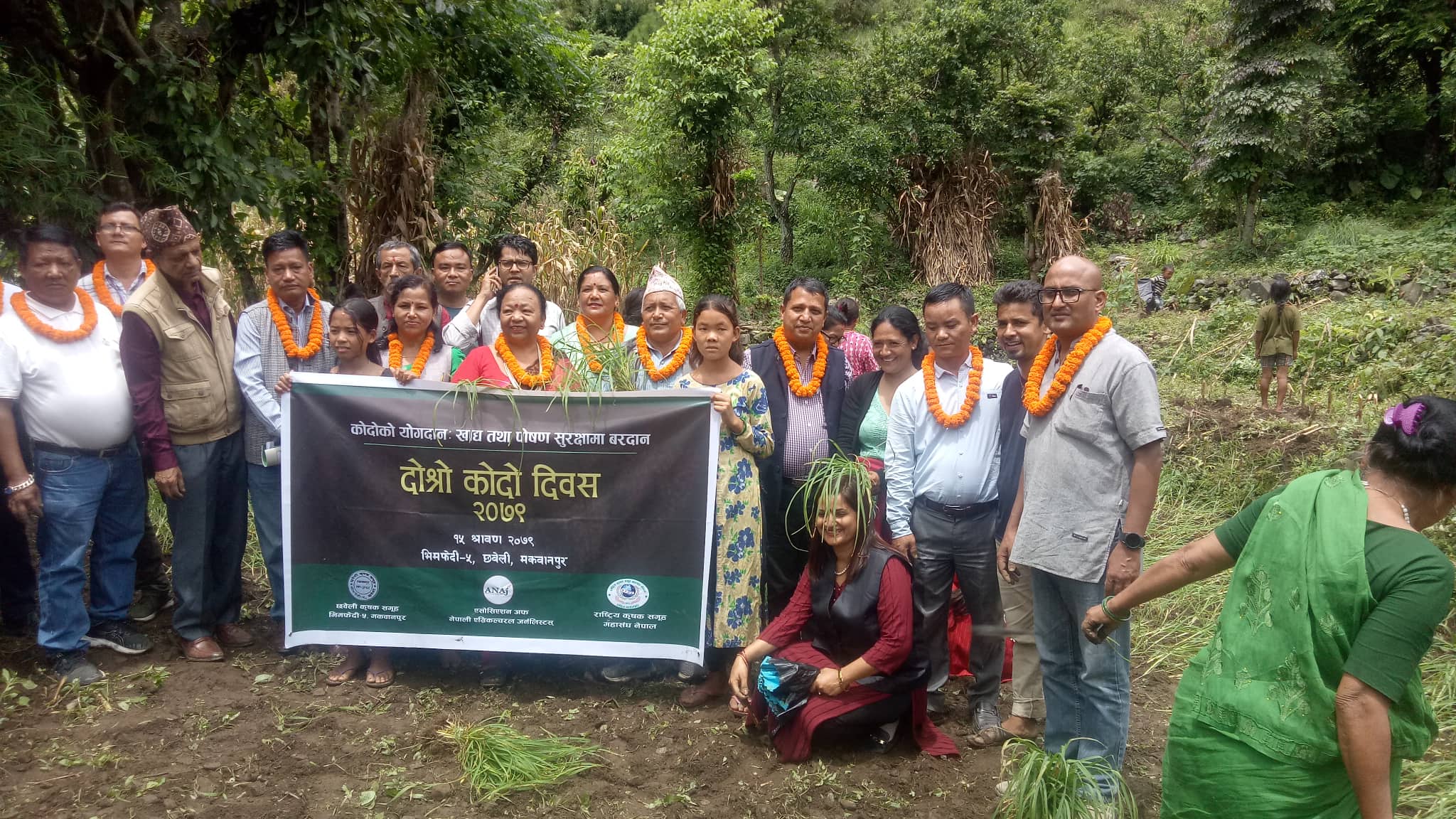 आज राष्ट्रिय कोदो दिवस मनाइँदै