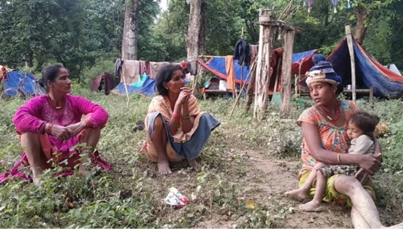 कञ्चनपुर बाढी : पीडितको अझै जङ्गलको बास