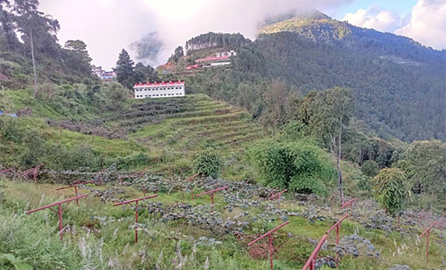 हेलम्बुमा खेर गइरहेको जमिनबाट आम्दानी