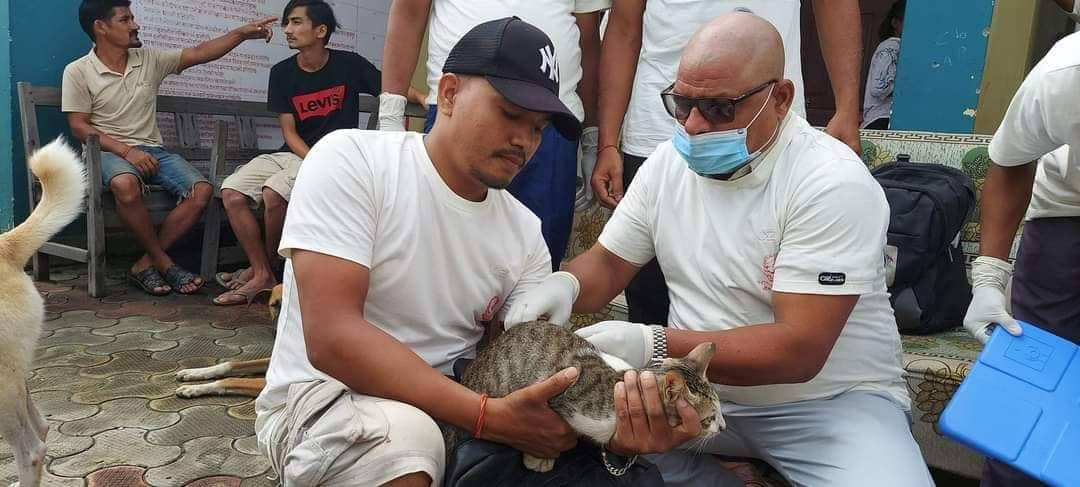 १६ औं विश्व रेबिज दिवसमा कुकुर बिरालालाई निशुल्क भ्याक्सिन