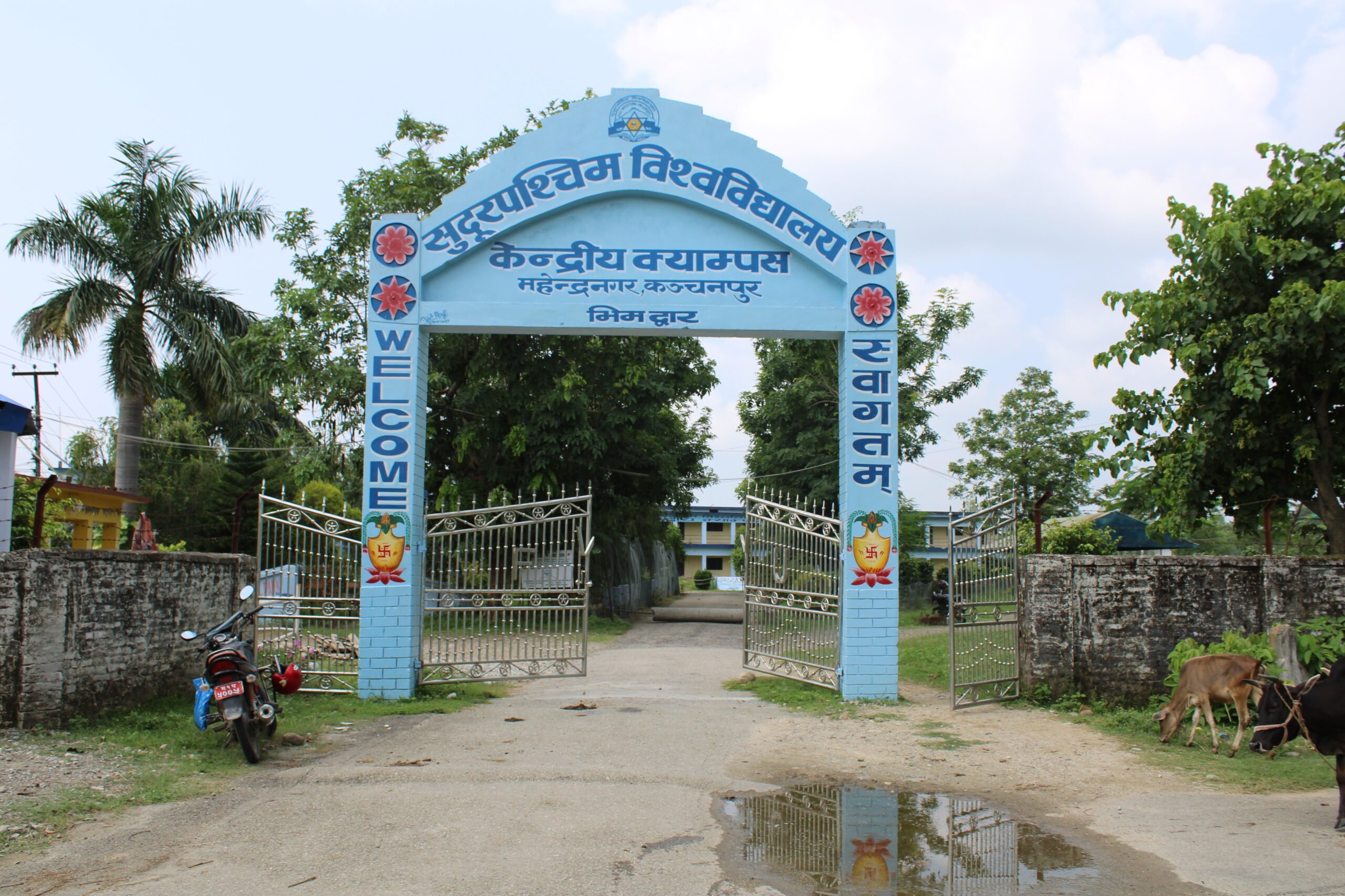 सुदूरपश्चिम विश्वविद्यालयमा खोल्यो ठूलो संख्यामा विज्ञापन (सूचना सहित)