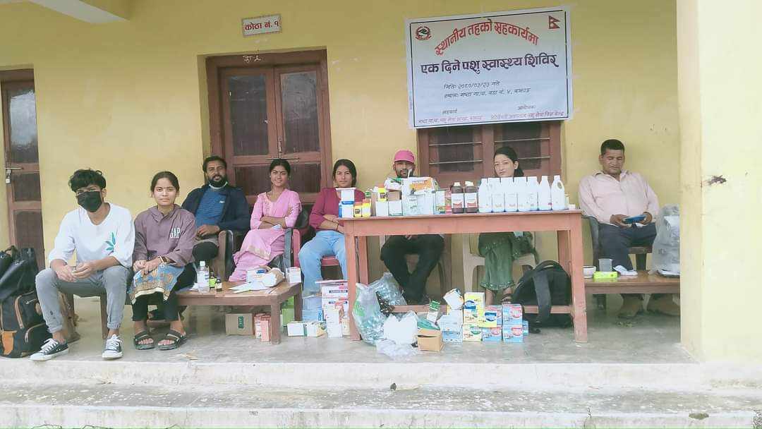 मष्टा गाउँपालिकामा एक दिने पशु शिविर सम्पन्न
