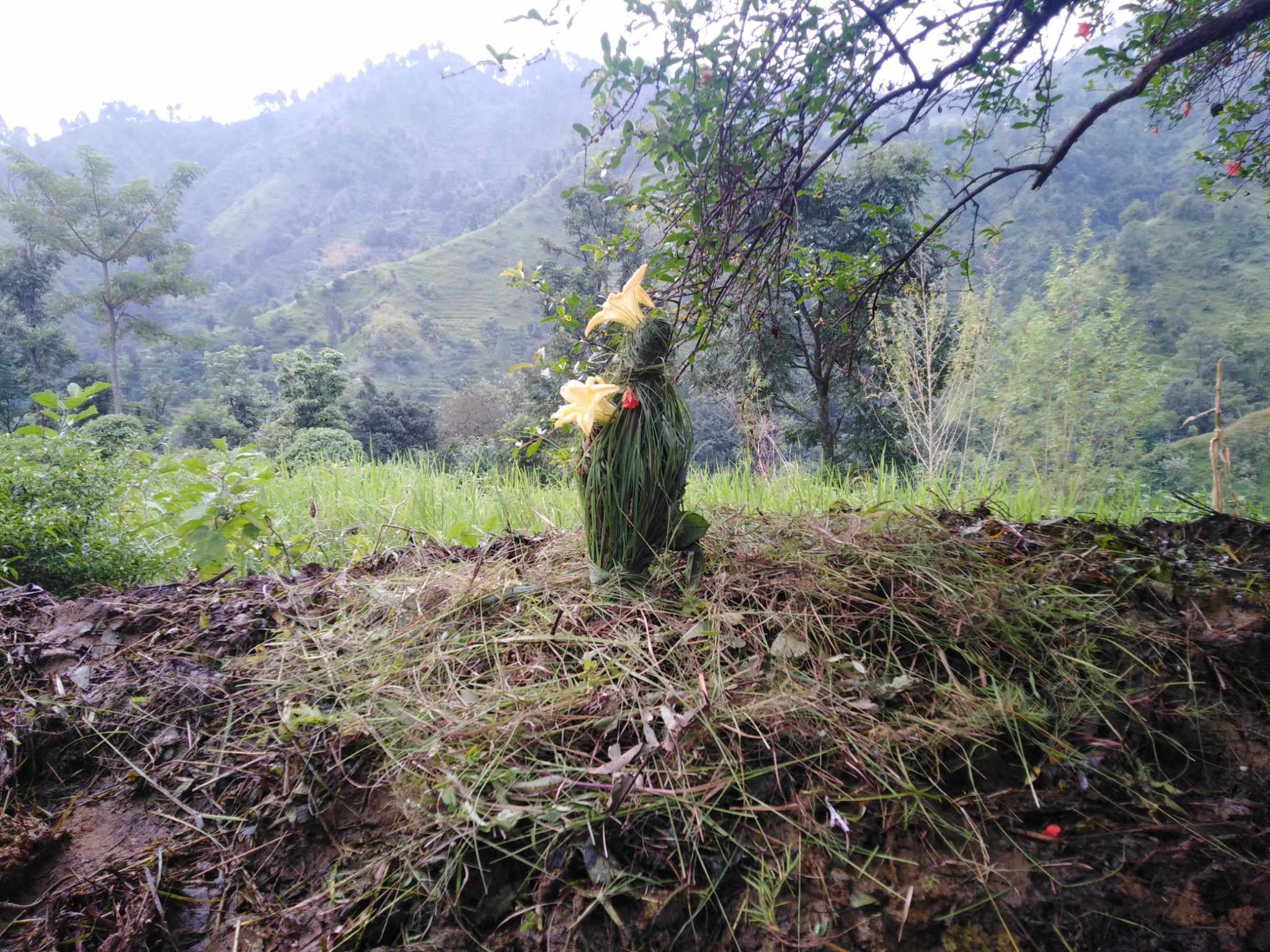 सुदूरपश्चिमका पहाडी जिल्लामा बुढी पोल्ने पर्व