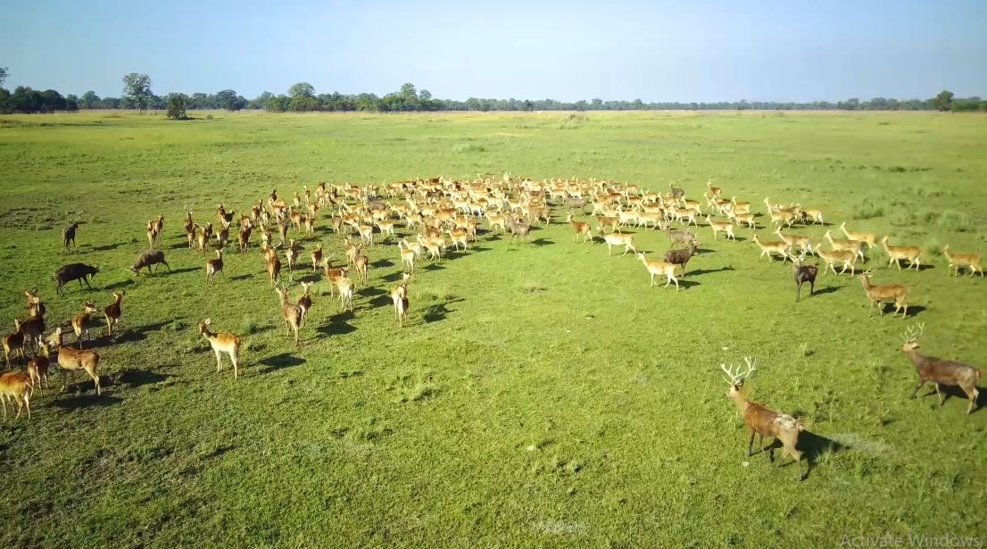 शुक्लाफाँटा राष्ट्रिय निकुञ्ज : पर्यटकका लागि आकर्षक गन्तव्य