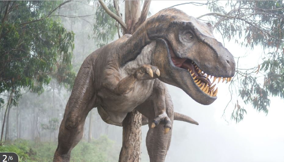 मानिस किन २०० बर्षसम्म बाँच्दैन, बैज्ञानिकहरु भन्छन, – ‘कारण हो डायनोसर’