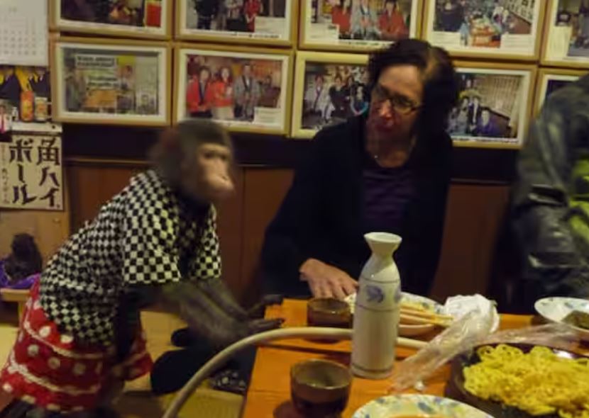 जापानको एक रेष्टुरेन्टको विश्वभरी चर्चा, जहाँ बादँरलाइ राखिएको छ वेटर