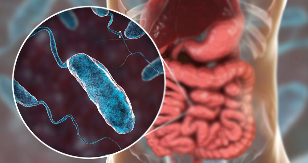 रौतहटको राजपुरमा हैजा पुष्टि, प्रशासनद्वारा निषेधित क्षेत्र घोषणा