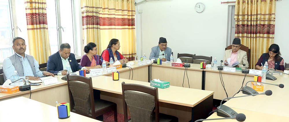 सहकारीको बचत ठगीको छानबिन गर्न गठित संसदीय छानबिन समितिको म्याद थपिँदै