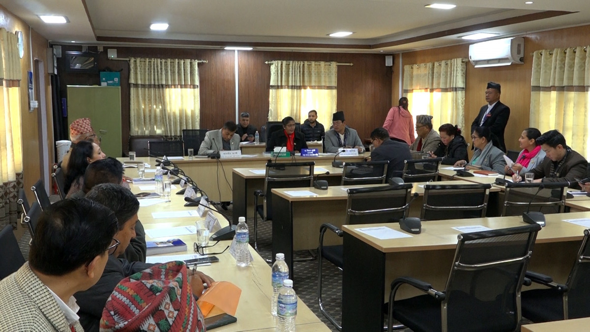 आज संघीय संसदका तीन वटा समितिका बैठकहरू बस्दै