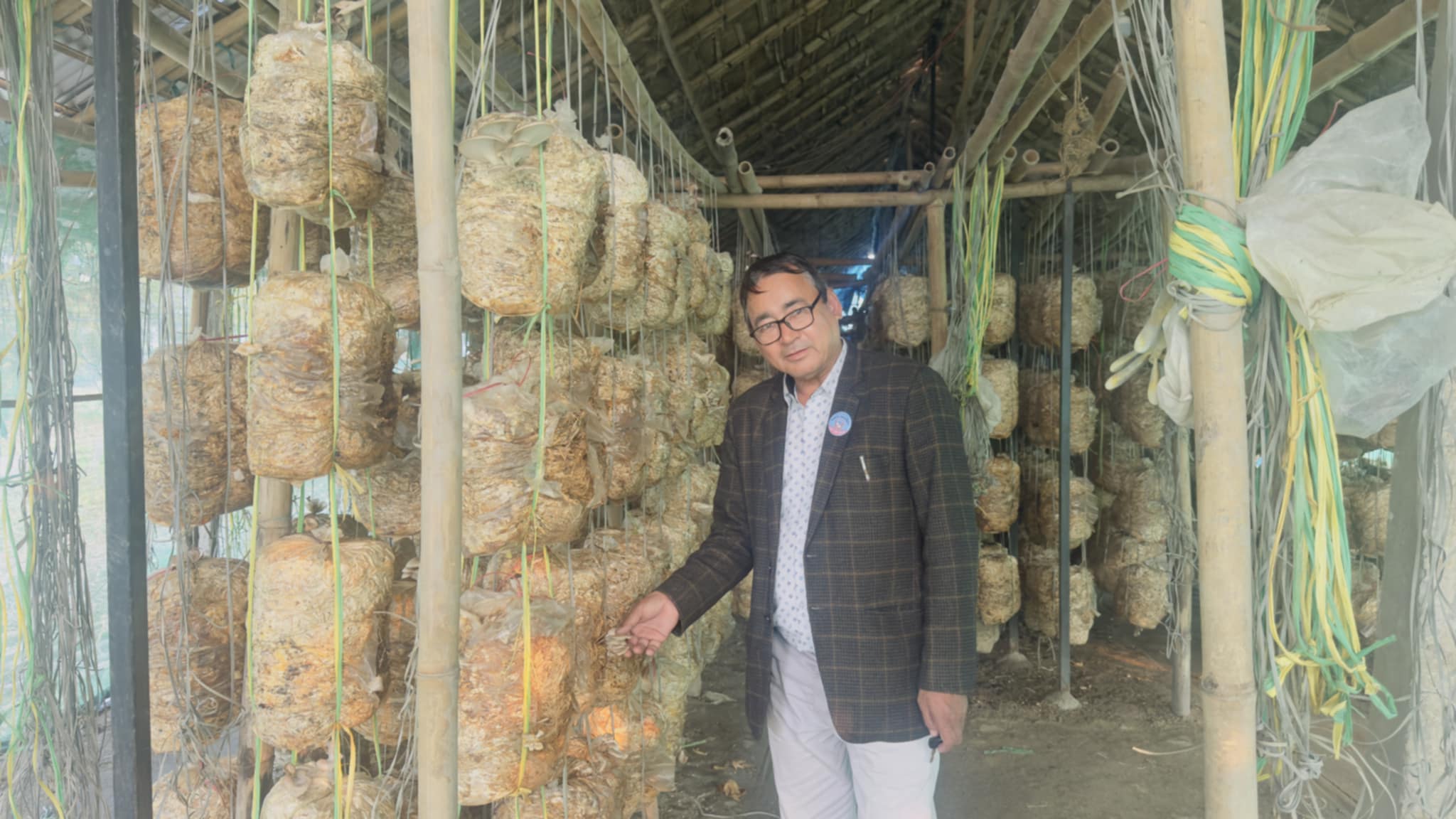 जनताको काम सकेर कृषिमा अग्रसर वडाध्यक्ष मोक्तान