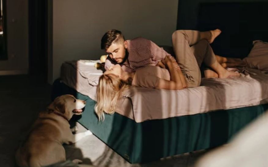 कुकुरसँग यौनसबन्ध राख्ने अष्ट्रेलियाली मोडललाइ १० बर्षको सजायँ हुने