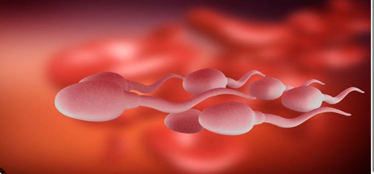 हुदैँछ विश्वको पहिलो ‘वीर्य दौड प्रतियोगिता’, कारण रहेछ निकै गम्भिर