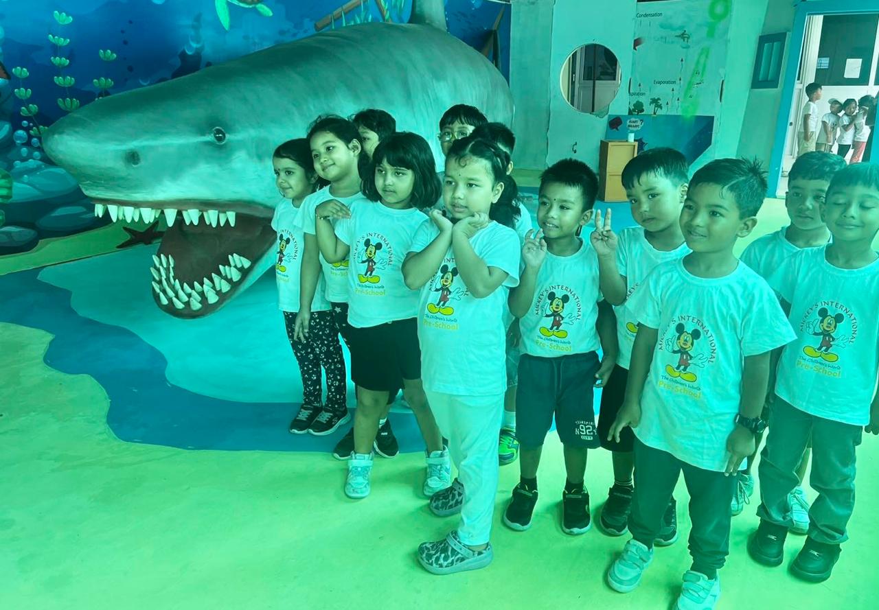 काठमाडौंको चोभारस्थित सिमुलेशन साइन्स सेन्टर पुनः सञ्चालनमा